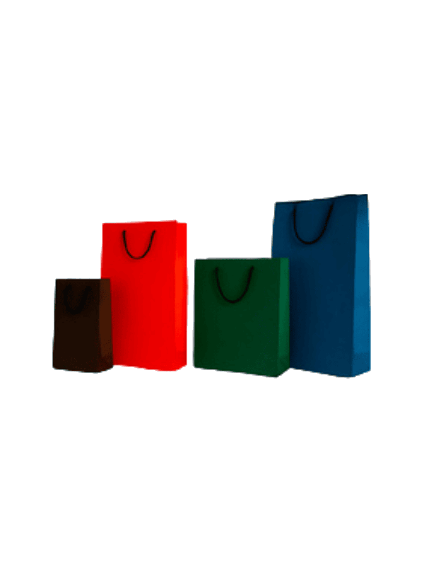 Bolsas Pintadas en colores